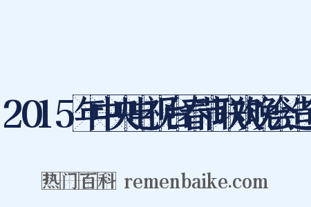 2015年中央电视台春节联欢晚会造句是什么意思的图片